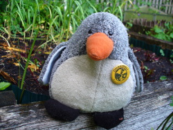Pinguin Pingo pflanzt