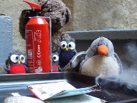 Pinguin Pingo testet