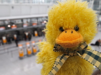 Ente Flügelchen