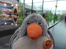 Beach auf der Spielwarenmesse
