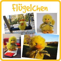 Präsidentschafts-Kandidatin Flügelchen